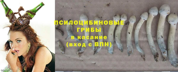 индика Лагань
