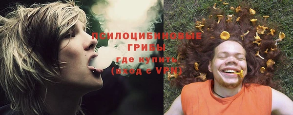 альфа пвп Лабытнанги