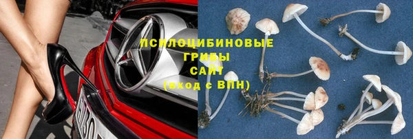 ГАЛЛЮЦИНОГЕННЫЕ ГРИБЫ Ладушкин