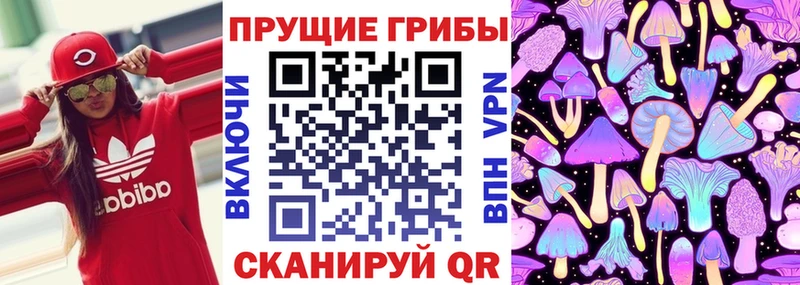 Галлюциногенные грибы Psilocybine cubensis наркота Южноуральск