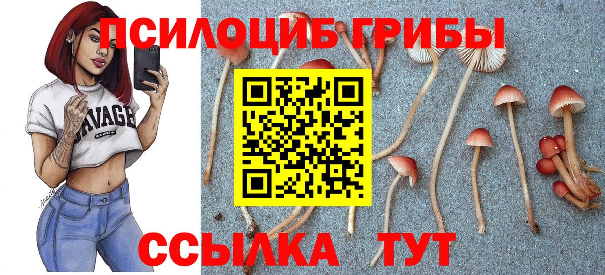 Галлюциногенные грибы GOLDEN TEACHER  Вход с VPN  продажа наркотиков  Южноуральск  Галлюциногенные грибы MAGIC MUSHROOMS 
